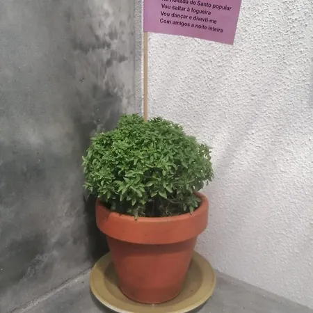 Ritual Do Mar - Com Wc - Baleal & Peniche *